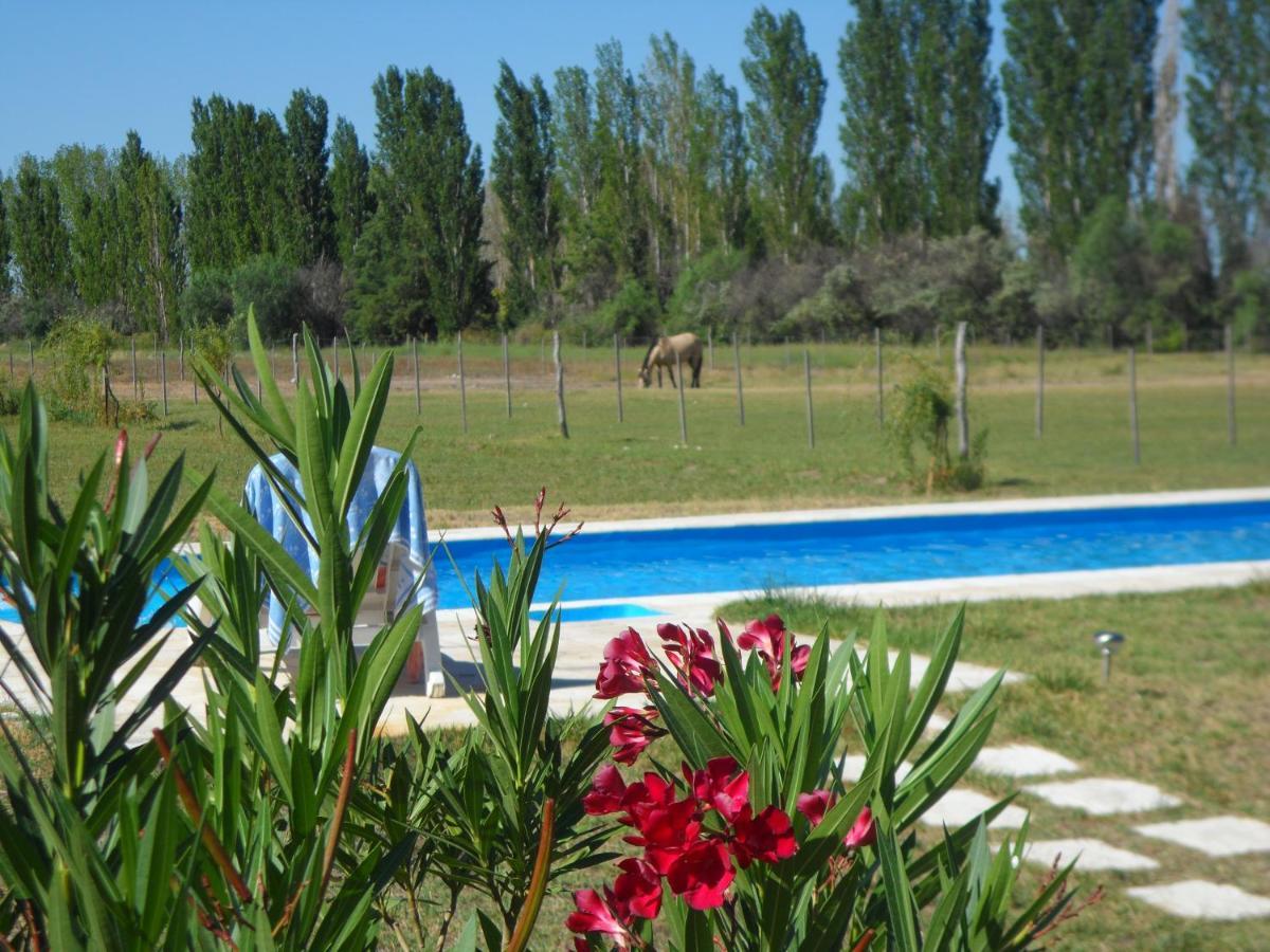 Casa De Campo Las Olivas San Rafael  Bagian luar foto