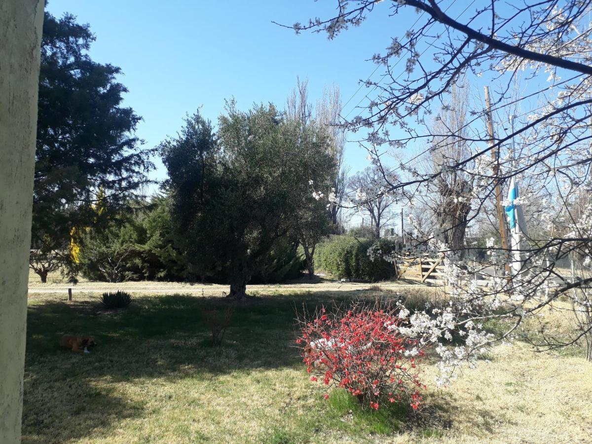 Casa De Campo Las Olivas San Rafael  Bagian luar foto